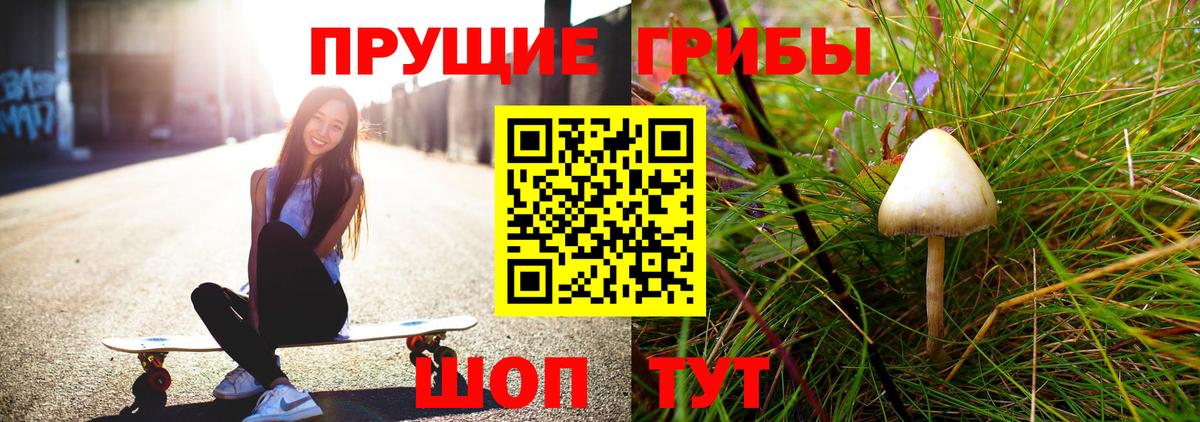 Якутск  Галлюциногенные грибы мицелий  закладка  Псилоцибиновые грибы Psilocybine cubensis  Вход с VPN 